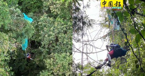 玩滑翔伞失控  韩男吊挂高树 4小时