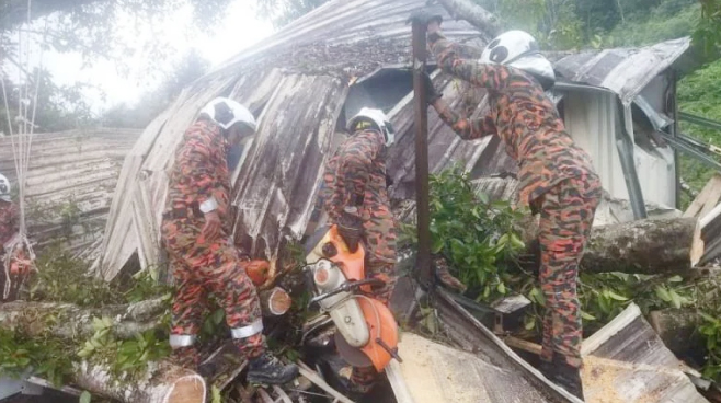 暴风雨吹倒大树 压中木屋 酿1死5惨