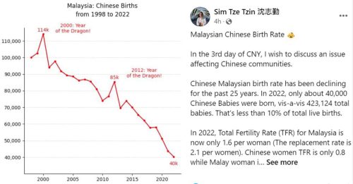華人人口過去25年逐步下降 沈志勤：龍年加油生龍寶寶