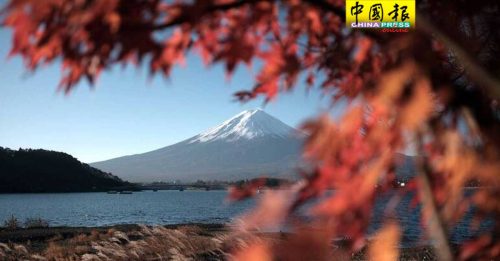 惹怒日本人！ 中资酒店“想看富士山” 砍邻居树木还扯谎