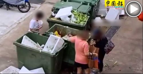 垃圾桶內翻食物 網：新加坡怎麼了？