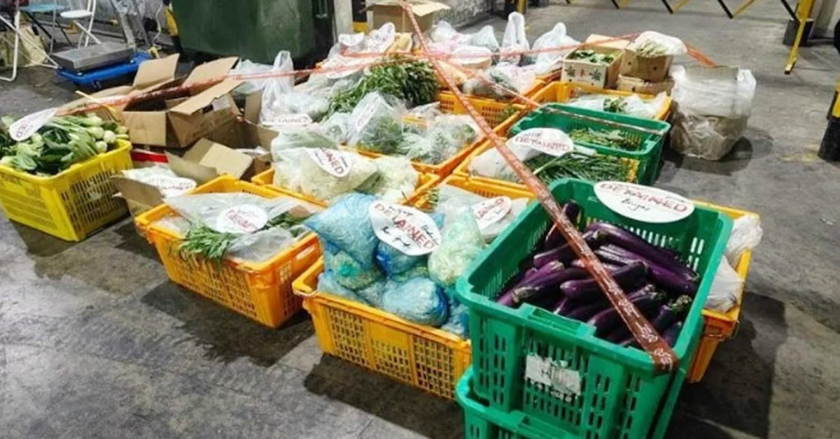 狮城兀兰关卡 起获1.5公吨非法进口蔬菜