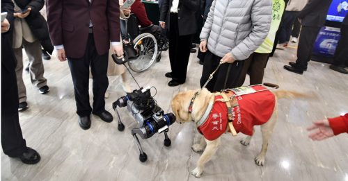 今日国际30秒｜电子导盲犬