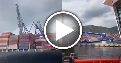 阳明海运货轮撞港 起重机骨牌式坍塌