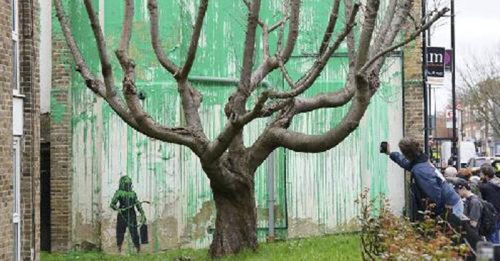 伦敦街头留新壁画 班克西复活枯树超神作