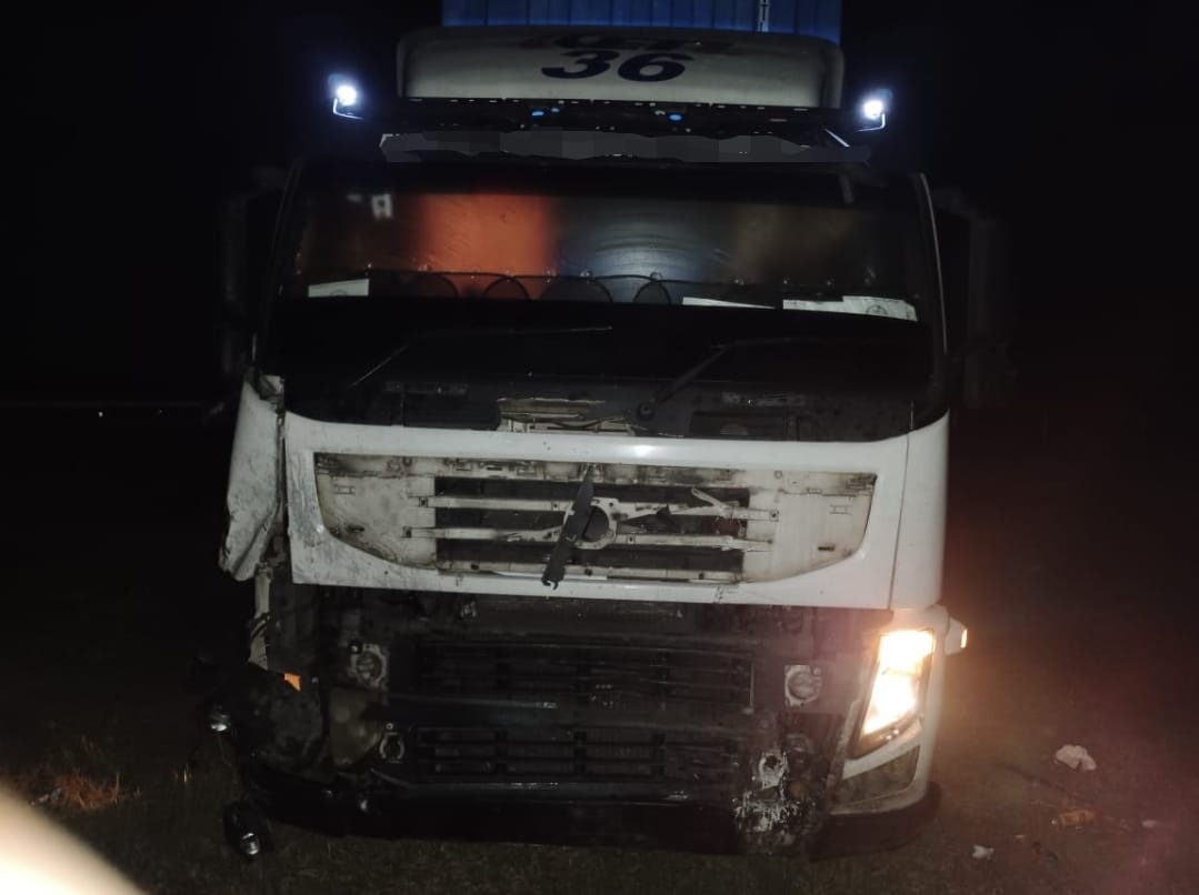 肇祸的拖格罗厘。