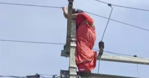 女子外遇被抓包 竟爬电线杆要自杀