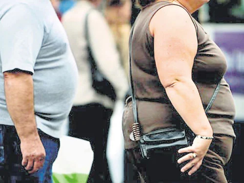 会员文：一点通｜肥胖率全球排名 越南女倒数第一 大马要多多学习