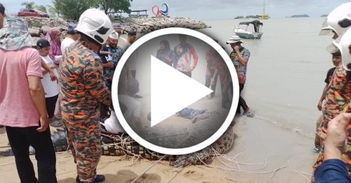 重一噸長5公尺 游入海域 大鱷魚與漁民對峙2小時 被制伏