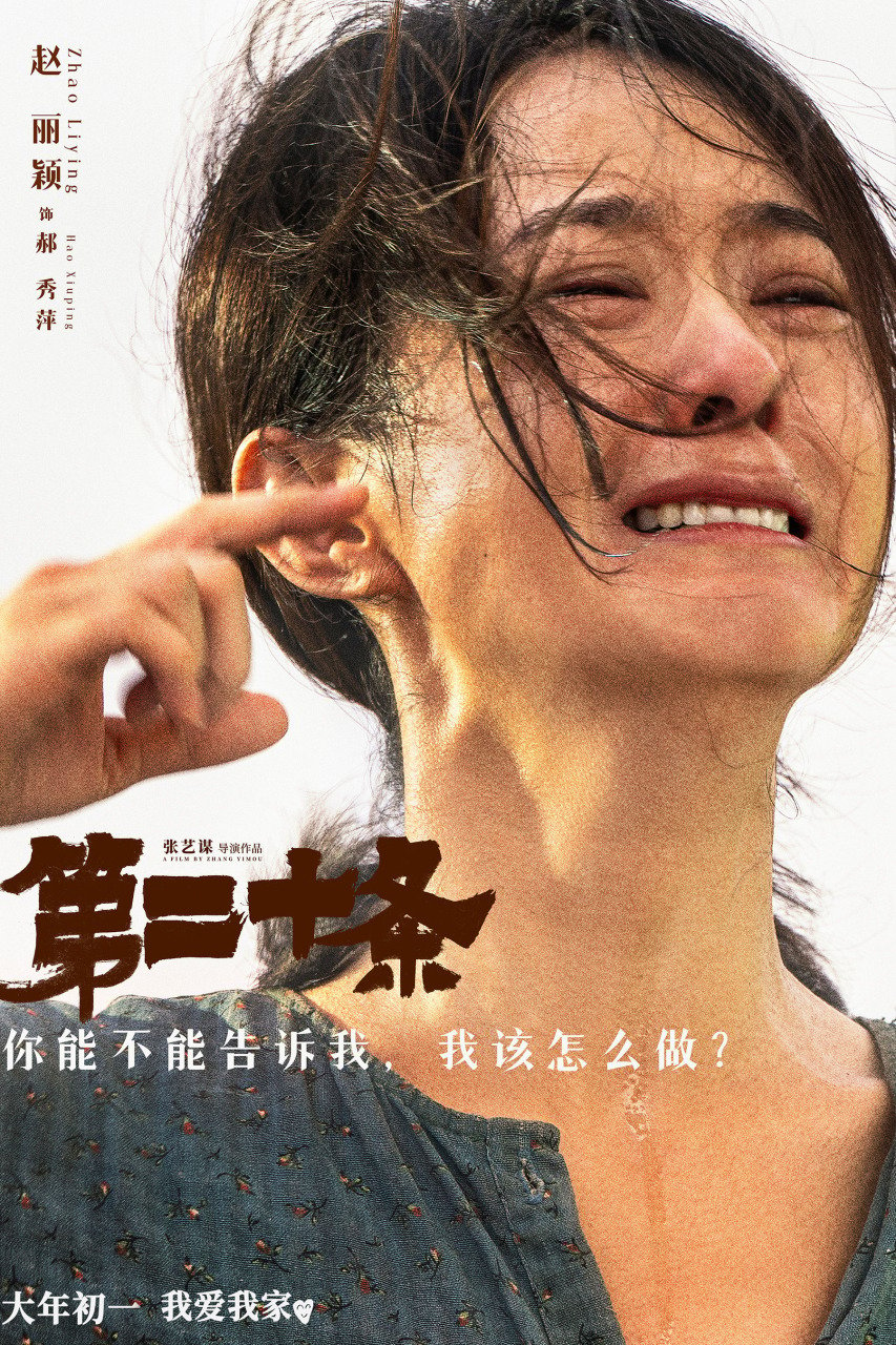 赵丽颖被不少网友误以为是《第二十条》的女主角。