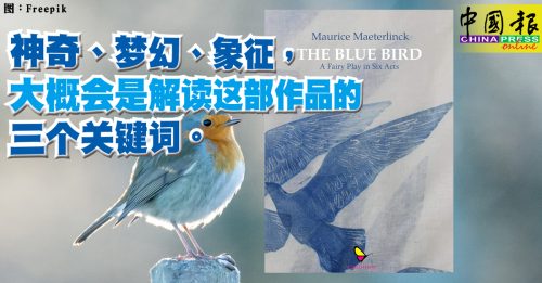 驶过印象｜郭史光宏：一趟不可思议的寻鸟之旅——读《青鸟》