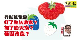 養身良然｜奇形怪狀草莓不正常？