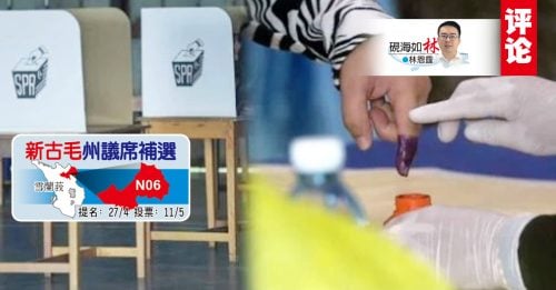 林恩霆：新古毛补选检视马来票和华裔票