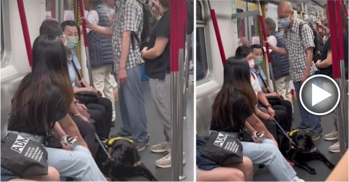 阿伯搭地铁辱骂导盲犬 视障女护犬 霸气回怼