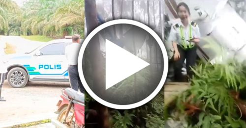 垦殖区坠机视频疯传 华裔女机师向救援者道谢