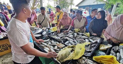 每条石甲鱼卖0.70 渔民派福利 村民抢光4000条