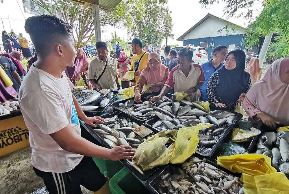 每条石甲鱼卖0.70 渔民派福利 村民抢光4000条