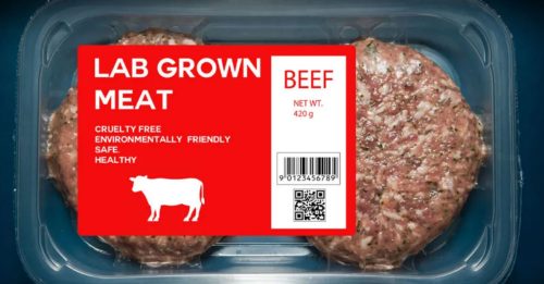 佛州州长 签法案 禁制造、销售“人工肉”