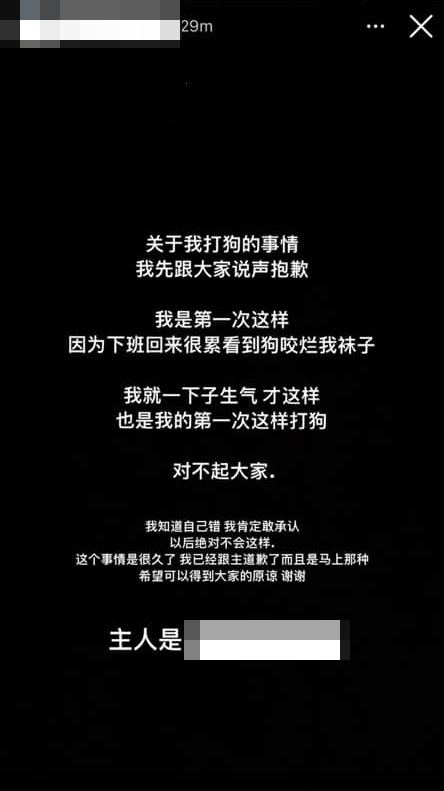 华裔女子向公众道歉，声称这是第一次打狗，承诺不会再犯。