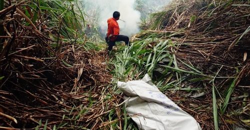 男阿里山公路跨护栏坠崖 搜救11天寻获遗体