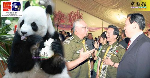 马中“熊猫外交”10周年纪念Part 3｜大马首迎中国熊猫！ 记得10年前的今天吗？