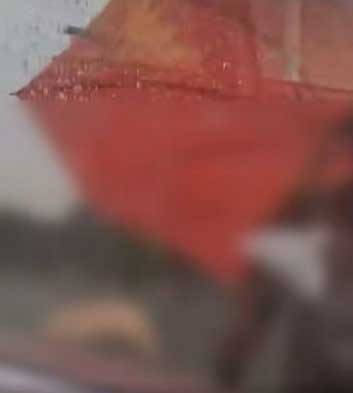 原本如胶似漆的2名男女，见到有人拍摄，立刻从对方的身上弹开。
