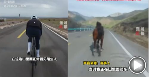 公路骑行偶遇马奔跑 男子想超越 反被甩在后