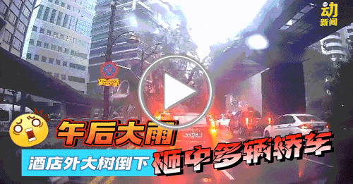 动新闻｜大树倒下砸中17轿车 恐怖画面曝光