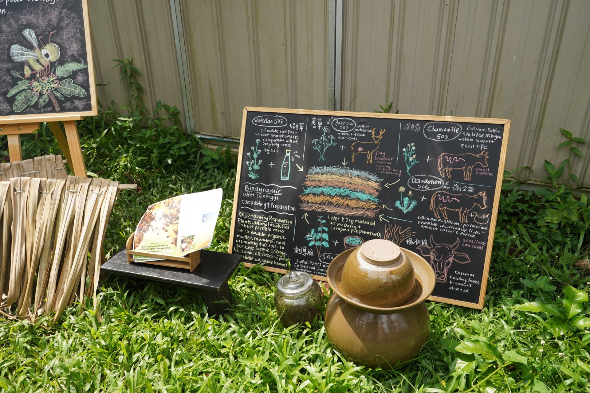 心见闻｜领略生命真谛 启动别样旅程