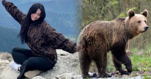 少女山区徒步与熊相遇 被抓脚扔下悬崖重摔亡