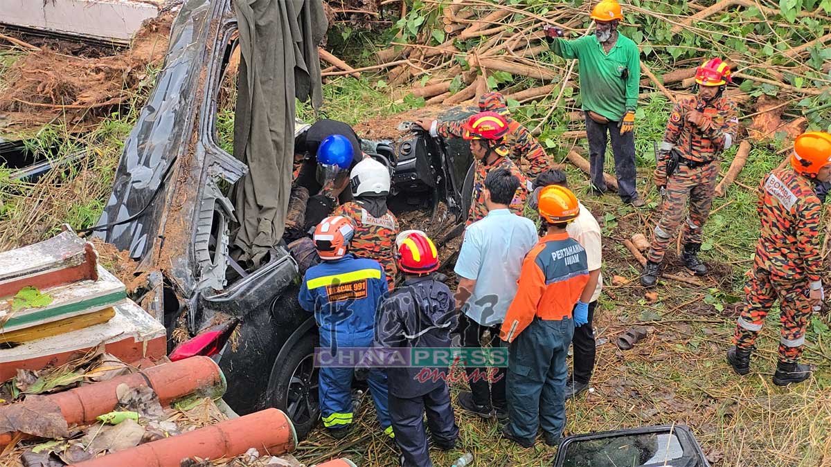 树倒压死2人｜大树倒下瞬间视频曝光