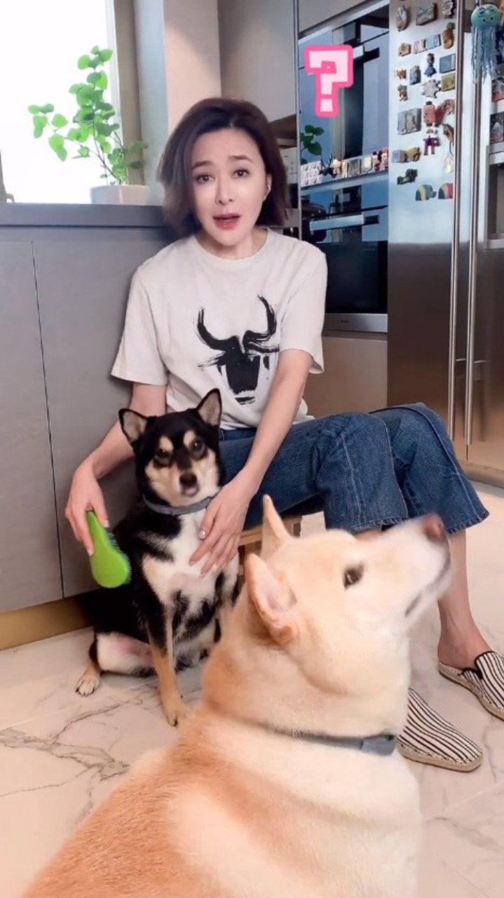 关之琳间豪宅非常大,令爱犬有很多空间活动。