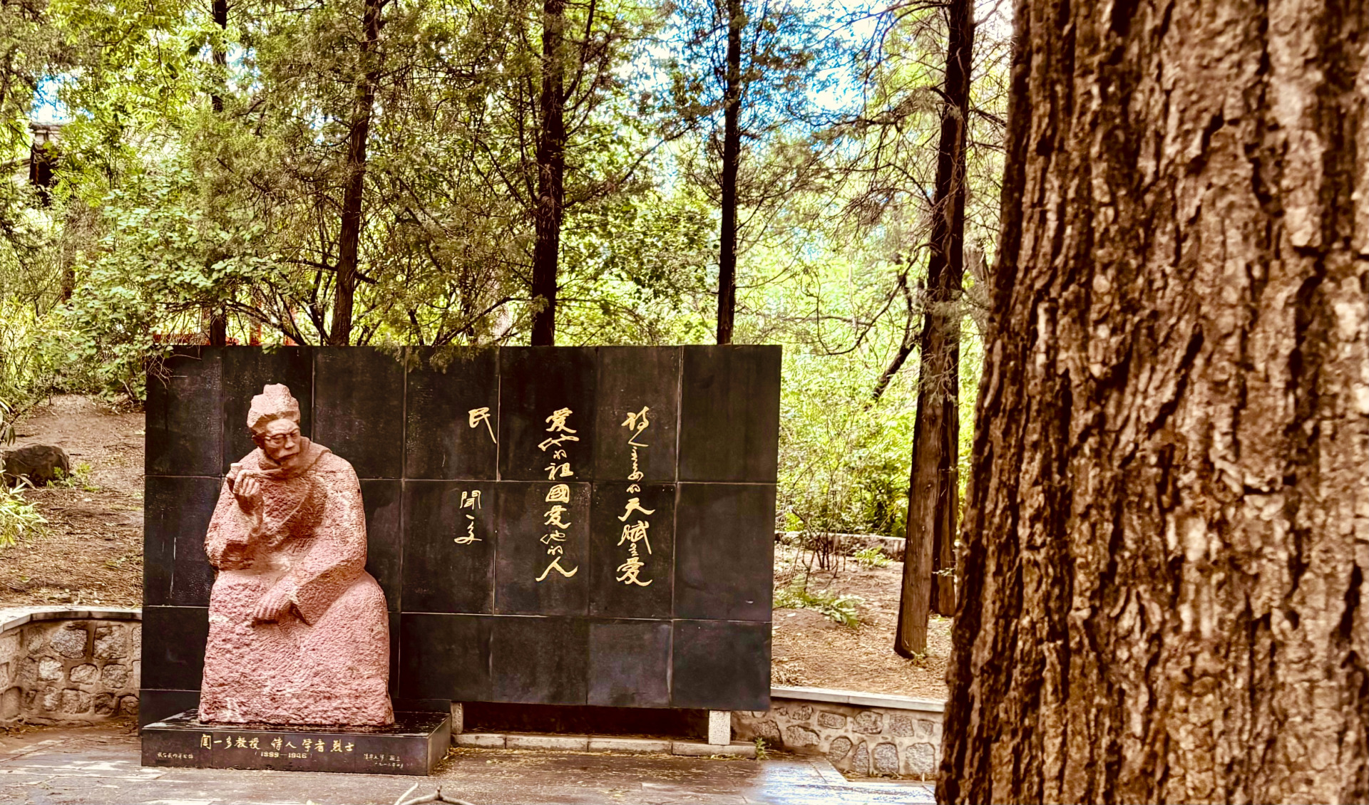 学习现场｜漫步清华园 人生多精彩 纪家葵医路上不负韶华