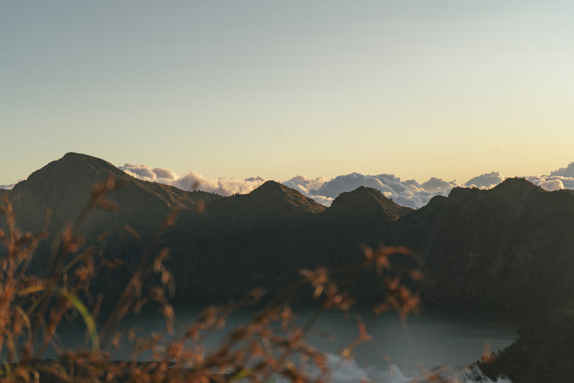 主题故事｜镜头丰收 天人合一