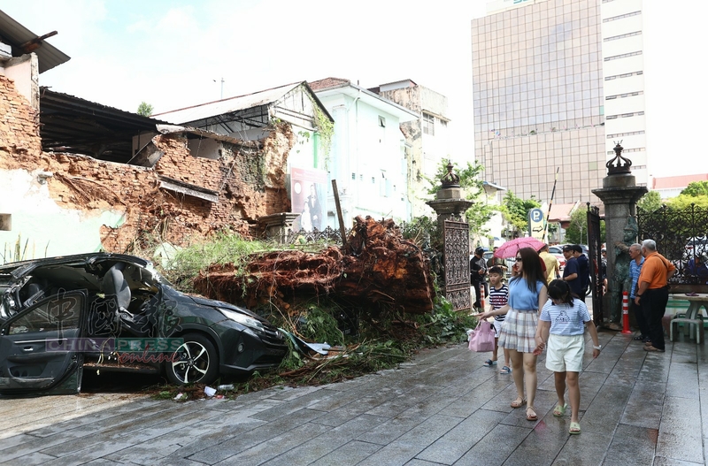 前往博物馆的游客，都对树倒压车感到好奇。
