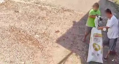 华裔地主被指指示女儿捉猫后，装入饲料袋子内。