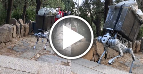 最大负重120kg 泰山测试机器狗做“挑夫”