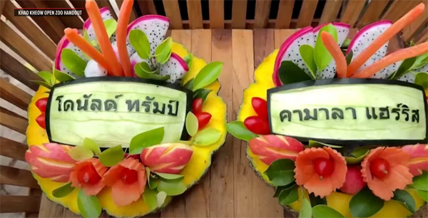 预测美国总统大选 “弹跳猪”选了这一位