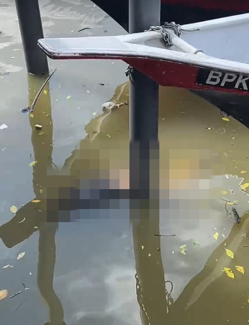 码头旁发现一具女性遗体。