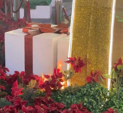 虽然是小火,但周围都是易燃物,有随时蔓延的风险。