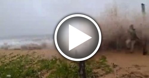 好恐怖！巨浪突来袭 卷来大树桐 险击中 拍照男