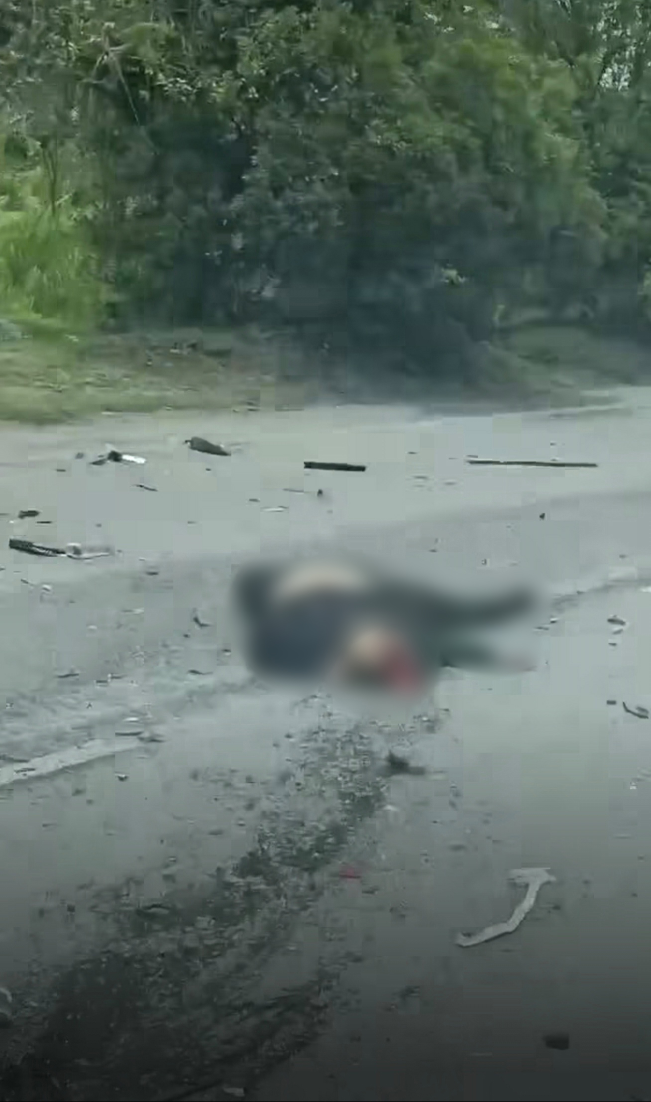 其中一人的头部被撞爆，死状凄惨。