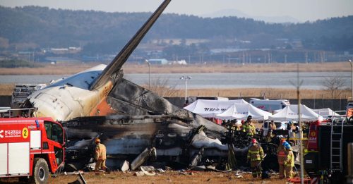 韩客机坠毁｜消息人士：客机两边引擎 发现雀鸟羽毛及血迹