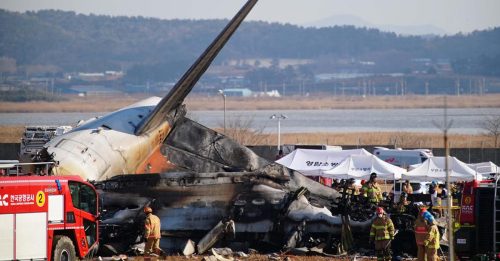 韩客机坠毁｜务安失事飞机撞鸟 致黑箱记录中断