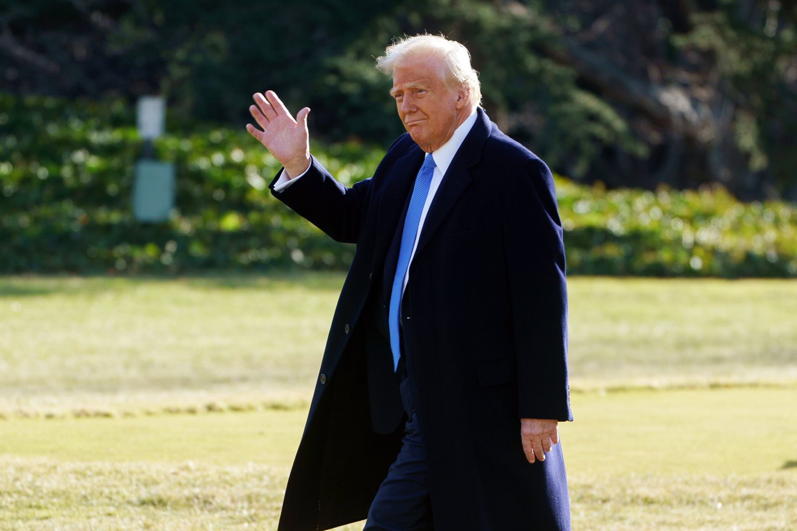 美国总统特朗普。