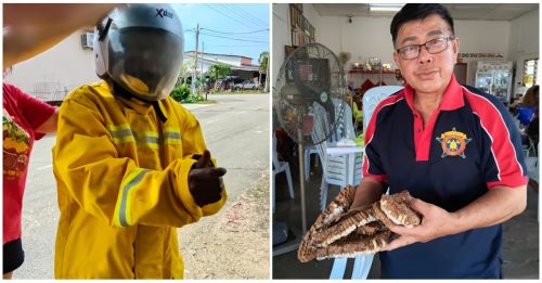 无法用火 志愿消防队用此物 剿灭蜂窝