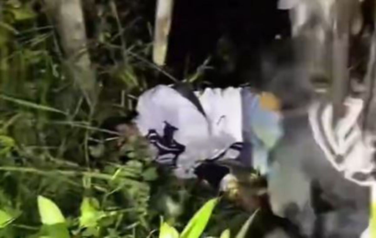 艾卡当时在森林内被人寻获的身影。
