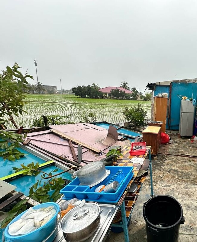 其中一间房屋的木制围墙，整个被吹倒。