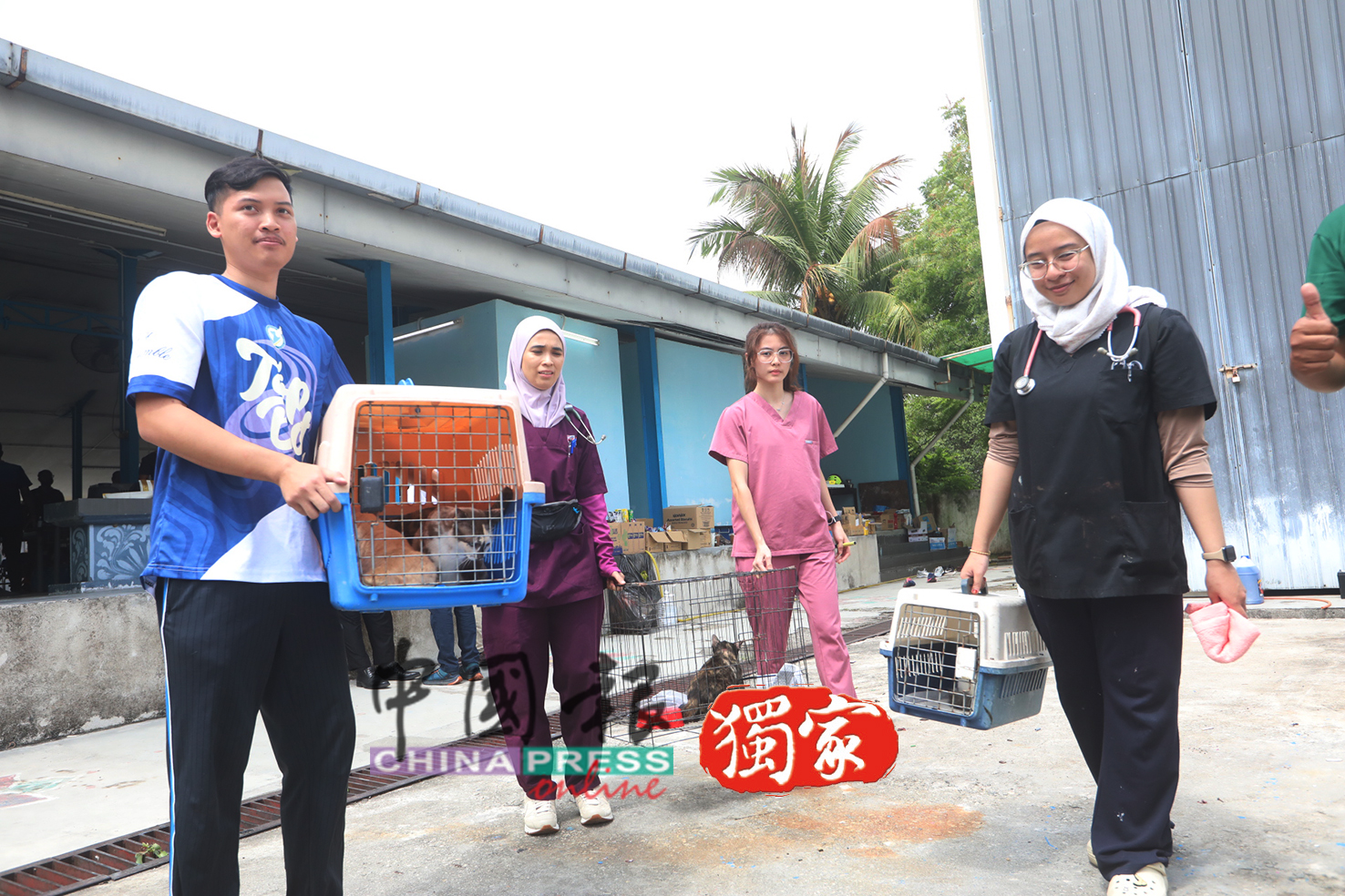 天然气输送管爆炸｜人美心善！ 美女兽医休假赴灾场 安抚 医治受伤动物