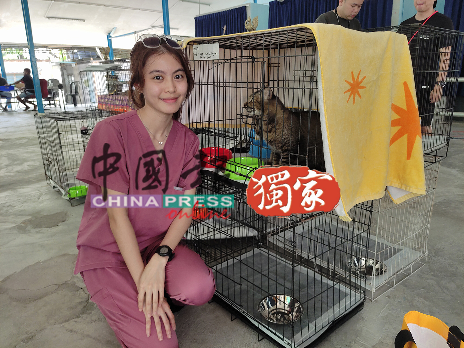 王彩沬在灾场附近设立的临时动物收留中心，协助受波及的动物。